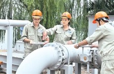 Ảnh chỉ mang tính minh họa. Nguồn Internet