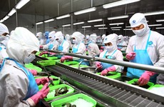 Năng suất lao động của doanh nghiệp tư nhân hiện đang rất thấp. Ảnh: Lê Tiên