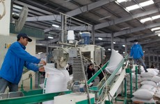 Doanh nghiệp nhỏ gặp khó khăn về vốn để đầu tư phát triển sản xuất. Ảnh: Lê Tiên