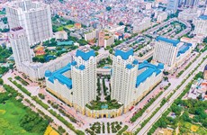 Chủ đầu tư Bitexco luôn thấu hiểu khách hàng và tiên phong mang đến những giá trị khác biệt