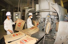 Các nhà thầu sản xuất, cung cấp vật liệu xây dựng có nhiều cơ hội khi triển khai các dự án cao tốc trên tuyến Bắc - Nam phía Đông. Ảnh: Khánh Giang