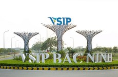 Ảnh chỉ mang tính minh họa. Nguồn Internet
