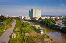 Ảnh chỉ mang tính minh họa. Nguồn Internet