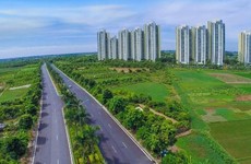 Ảnh chỉ mang tính minh họa. Nguồn Internet