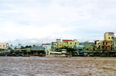 Ảnh chỉ mang tính minh họa. Nguồn Internet