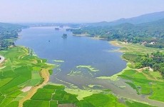 Ảnh chỉ mang tính minh họa. Nguồn Internet