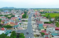 Ngày 06/04/2023, đấu giá quyền sử dụng đất tại huyện Hoằng Hóa, tỉnh Thanh Hóa