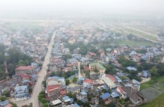 Ảnh chỉ mang tính minh họa. Nguồn Internet