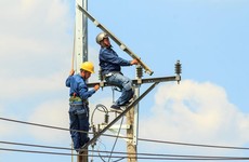 Trong tháng 1/2021, Công ty CP Điện lực Licogi 16 được công bố trúng 3 gói thầu tại các đơn vị thuộc Tổng công ty Điện lực miền Nam với tổng giá trúng thầu 182,2 tỷ đồng