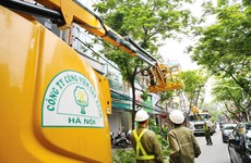 Doanh nghiệp thực hiện cổ phần hóa, thoái vốn, cơ cấu lại giai đoạn này hầu hết là doanh nghiệp lớn, có tình hình tài chính phức tạp, sở hữu nhiều đất đai hoặc hoạt động trong lĩnh vực công ích. Ảnh: Lê Tiên