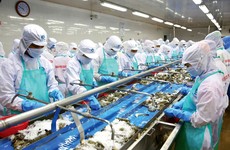 Chính phủ sẽ sớm ban hành một số giải pháp cấp bách nhằm tháo gỡ khó khăn, thúc đẩy sản xuất, kinh doanh của doanh nghiệp trong bối cảnh đại dịch Covid-19. Ảnh: Lê Tiên