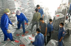 Gói thầu số 2 Mua sắm phân bón lần 2 năm 2021 do Công ty CP Tổng hợp Dương Minh Tây Nguyên mời thầu. Ảnh minh họa: Gia Khoa