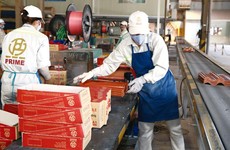 Tại nhiều khu công nghiệp, khu chế xuất, đến thời điểm này đã có trên 90%, thậm chí là 100% số doanh nghiệp quay trở lại hoạt động. Ảnh: Lê Tiên