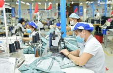 41% doanh nghiệp cho rằng đã được hưởng lợi từ EVFTA