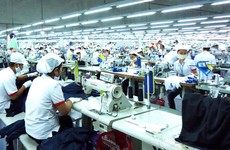 Ảnh minh họa: Internet