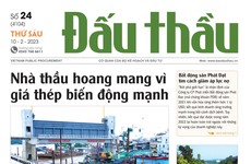 Báo Đấu thầu số 24 ra ngày 10/2/2023