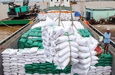 Nhiều dự báo cho rằng, nhu cầu của thị trường thế giới sẽ ấm lên trong nửa cuối năm, mở ra những cơ hội tốt cho doanh nghiệp xuất khẩu. Ảnh minh họa: ND