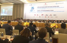 Toàn cảnh Phiên cấp cao Diễn đàn Doanh nghiệp Việt Nam 2023. Ảnh: Cao Dung