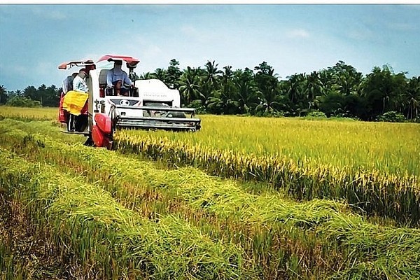 Xuất khẩu gạo thu về gần nửa tỷ USD tính đến 15/2