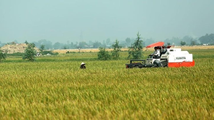 Phát triển lực lượng sản xuất ở Việt Nam trong bối cảnh mới ảnh 3