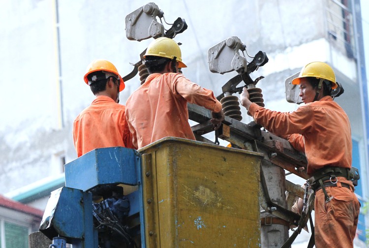 10 gói thầu xây lắp do Công ty Điện lực Bắc Giang mời thầu đều được tổ chức đấu thầu rộng rãi trong nước, qua mạng. Ảnh: Lê Tiên