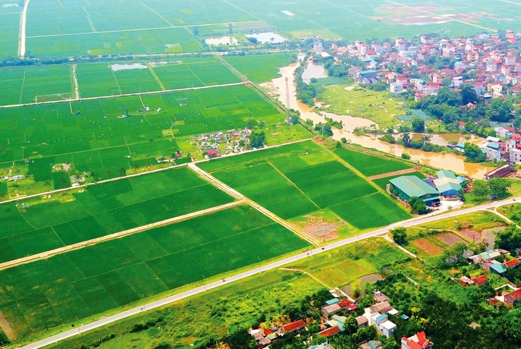 “Ngân hàng đất nông nghiệp” có chức năng trao đổi quyền sở hữu các thửa ruộng nằm cách xa nhau để các chủ đất có thể sở hữu một mảnh đất với diện tích lớn. Ảnh: Lê Tiên