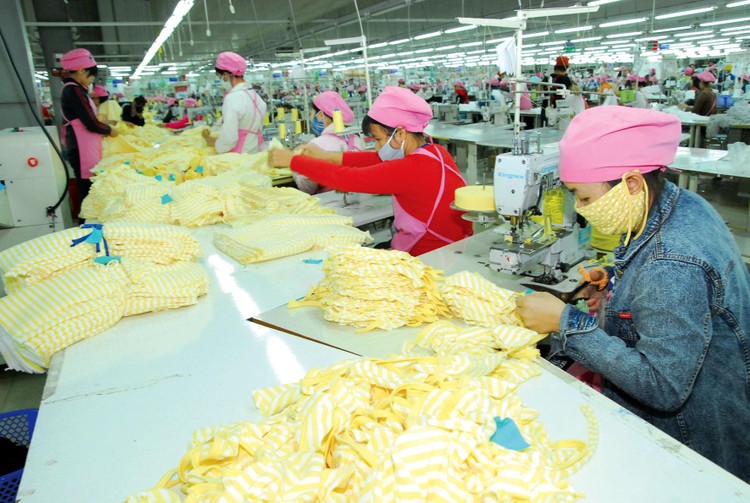 Theo một khảo sát của Ngân hàng Thế giới, 68% doanh nghiệp tại Việt Nam gặp khó khăn trong tuyển dụng lao động có những kỹ năng chuyên môn tương ứng với yêu cầu công việc. Ảnh: Lê Tiên
