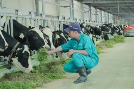 Vinamilk đủ điều kiện xuất khẩu vào thị trường Trung Quốc là tin vui cho ngành sữa Việt Nam đầu năm 2020 (ảnh: Internet)