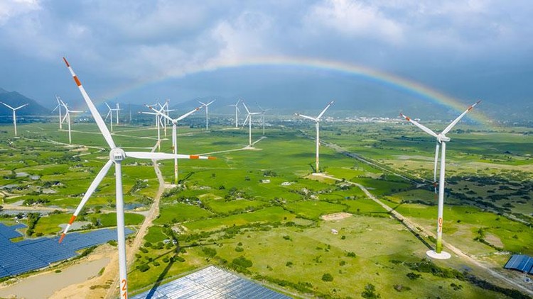 Lĩnh vực năng lượng tái tạo của Việt Nam đang hấp dẫn nhà đầu tư. Ảnh minh họa: Internet