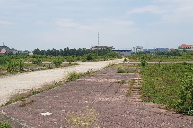 Khu "đất vàng" rộng 28ha nằm giữ lòng thành phố Ninh Bình và đã được đầu tư xây dựng hạ tầng nhưng vẫn nằm bỏ hoang hơn 10 năm nay.