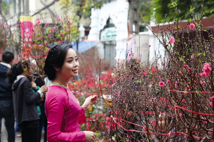 Hoa đào mang đến linh hồn cho ngày Tết cổ truyền của người Việt. Ảnh: Lê Tiên