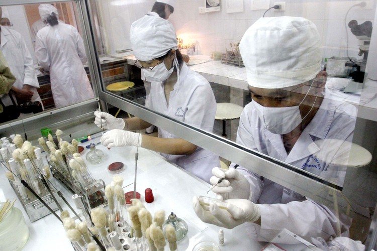 Tại Bệnh viện Hữu nghị Việt Tiệp (Hải Phòng), Công ty TNHH Thiết bị y tế Phương Đông trúng 135 gói thầu trong năm 2021. Ảnh: Tường Lâm