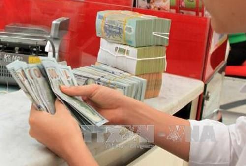 Giá USD tại Vietcombank sáng nay 25/8 giảm 20 đồng. Ảnh minh họa: Trần Việt/TTXVN.
