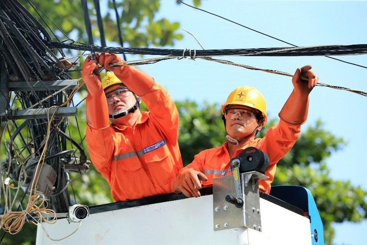 Công nhân Tổng công ty Điện lực TP.HCM tiến hành kiểm tra, bảo trì lưới điện