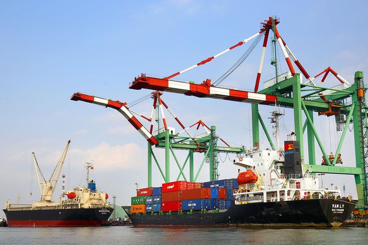 Lĩnh vực cảng và logistics của Việt Nam được nhiều nhà đầu tư EU quan tâm. Ảnh: Lê Tiên