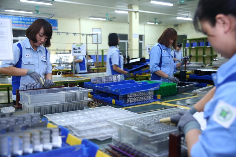 Tính đến 30/11/2022, tỉnh Hà Nam đã hỗ trợ cho 3.208 doanh nghiệp, hộ sản xuất kinh doanh và 167.854 lượt người với tổng số tiền 99,125 tỷ đồng. Ảnh: Lê Tiên
