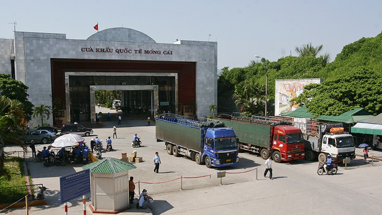 Trung Quốc là thị trường lớn nhất nhập khẩu các loại rau và quả của Việt Nam, chiếm 70,4% tổng kim ngạch xuất khẩu. Ảnh: Tường Lâm