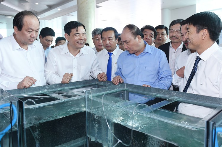 Thủ tướng Chính phủ Nguyễn Xuân Phúc thăm khu vực trưng bày tôm giống.