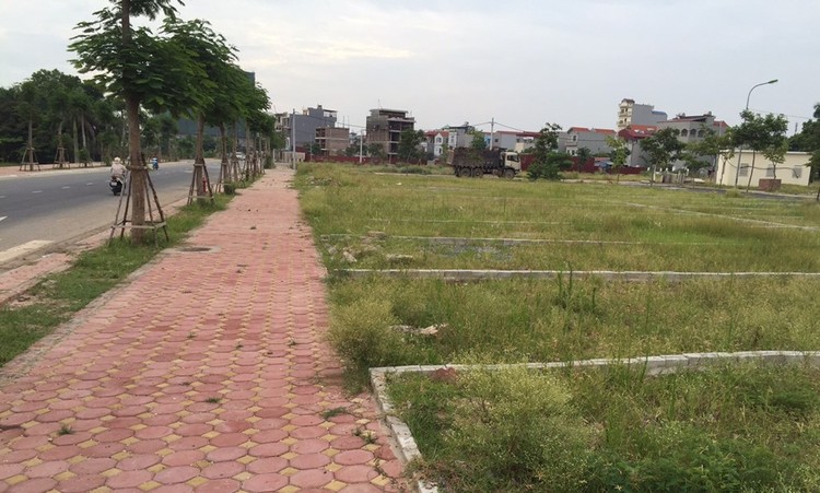 Đấu giá Quyền sử dụng đất tại thành phố Vị Thanh, tỉnh Hậu Giang
