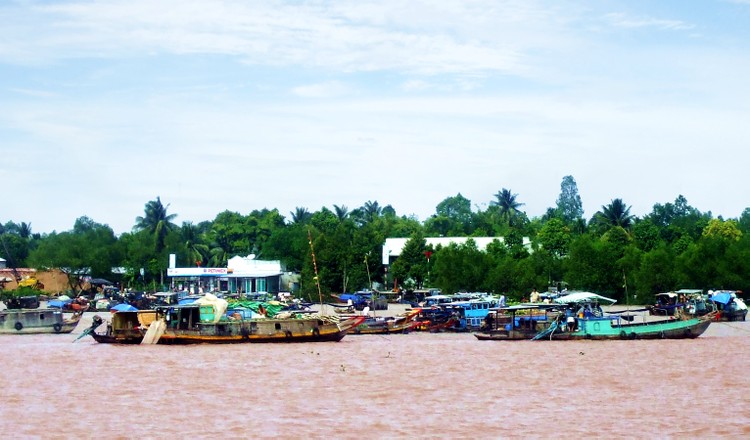  Đấu giá quyền sử dụng đất tại huyện Trà Ôn (Vĩnh Long)