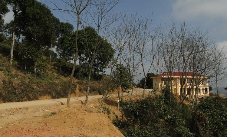 Đấu giá quyền sử dụng đất tại huyện Văn Chấn, Yên Bái