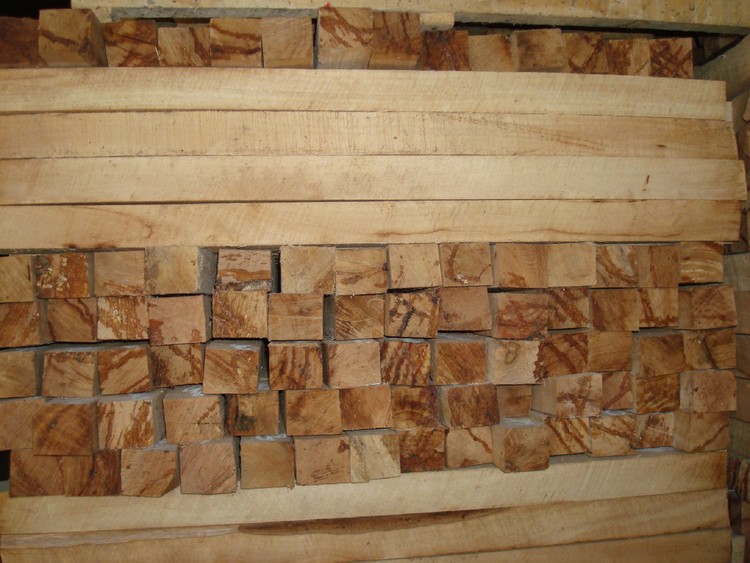 Đấu giá gỗ xẻ nhóm III tại tỉnh Kon Tum