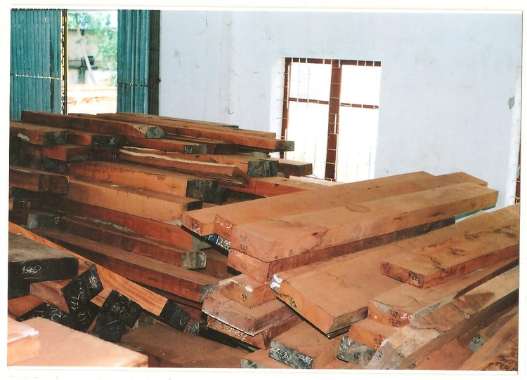 Đấu giá gỗ xẻ và gỗ tròn từ nhóm III  đến nhóm VIII tại tỉnh Kon Tum