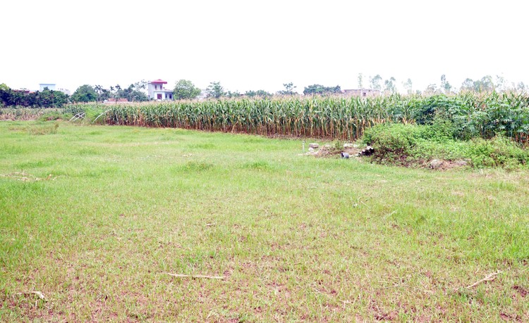 Đấu giá quyền sử dụng đất tại huyện Lý Nhân, Hà Nam
