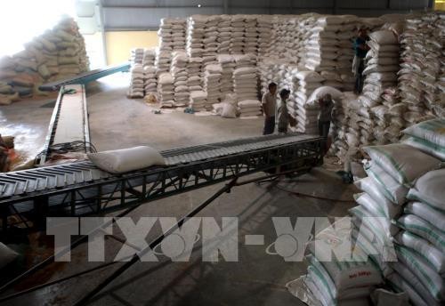 Xuất khẩu gạo: Doanh nghiệp nhỏ mong chờ được “cởi trói”. Ảnh minh họa: TTXVN