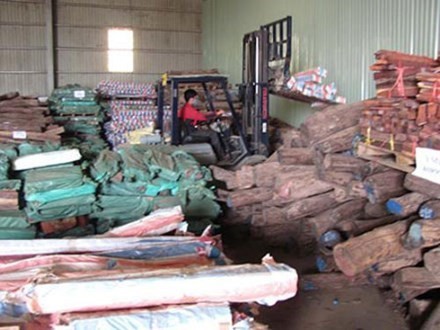 Hơn 500 m3 gỗ trắc tang vật đã bị đem bán tháo khi vụ án chưa được xét xử với giá rẻ mạt (63 tỉ đồng). Ảnh: T.L