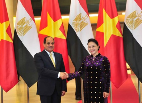 Chủ tịch Quốc hội Nguyễn Thị Kim Ngân và Tổng thống Ai Cập Abdel Fattah Al Sisi tại cuộc hội kiến. Ảnh: Báo QĐND