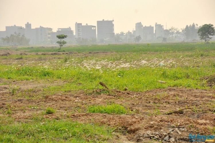 Theo Ban Pháp chế, HĐND TP. Hà Nội, hiện thành phố chưa thực hiện dứt điểm tồn đọng khiếu nại về đất đai từ 2009-2013.