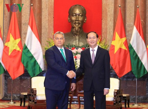 Chủ tịch nước Trần Đại Quang tiếp Thủ tướng Hungary Orbán Viktor đến chào xã giao. Ảnh: VOV