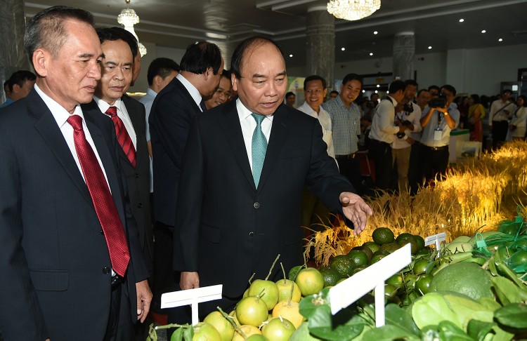 Thủ tướng Nguyễn Xuân Phúc dự hội nghị xúc tiến đầu tư tại Hậu Giang. Ảnh: VGP